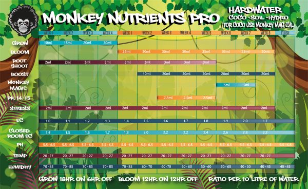 Monkey Magic - Image 2
