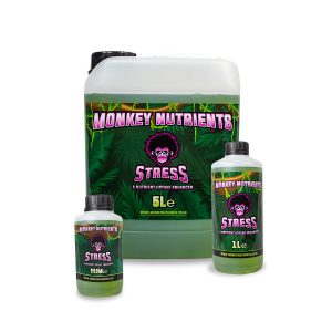 Monkey Stress