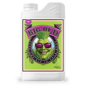 Big Bud