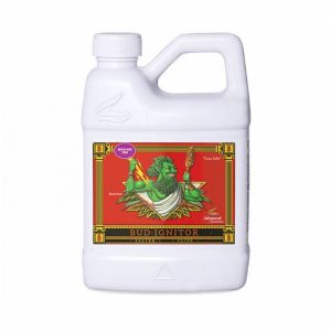 Bud Ignitor