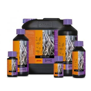 Root Stimulator