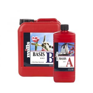 Basic a+b