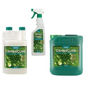 Canna Cure