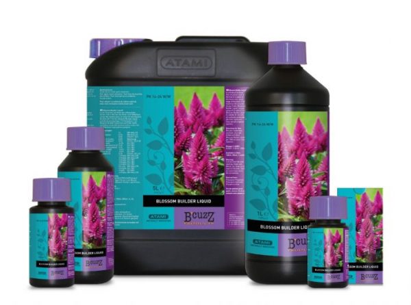 Blossom Builder Liquid