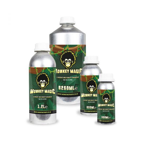 Monkey Magic