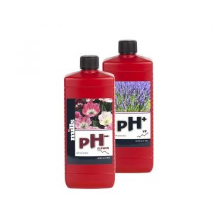 PH Flower