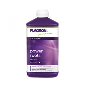 Power Roots