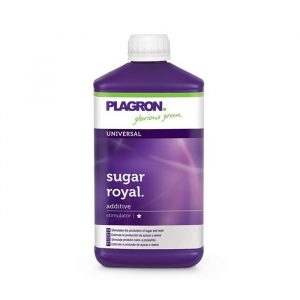 Sugar Royal