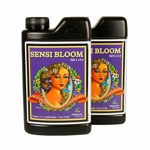 Sensi Bloom A&B