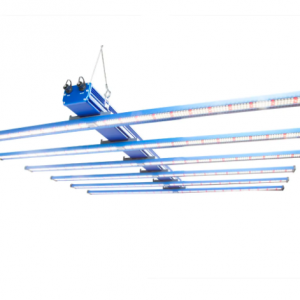 Maxibright Daylight LED