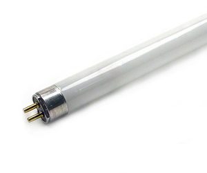 T5 Bulb
