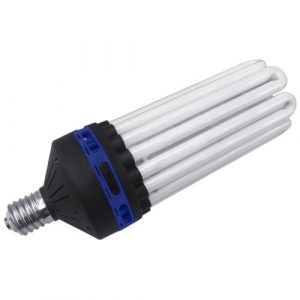 CFL bulb