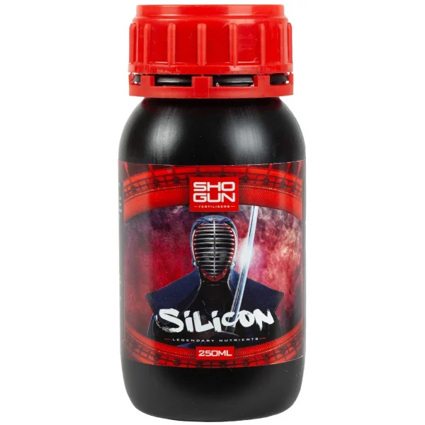 Silicon