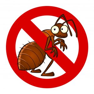 Pest control